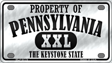 Property Of Pennsylvania Novelty Mini Metal License Plate Tag - $14.95