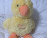 Carters Plush Yellow Duck Quack Quack striped wings possible sounds - $9.89
