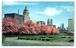 Chicago Skyline Unused Postcard - $14.84