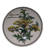 Vintage Villeroy &amp; Boch Botanica Porcelain Trinket Box Chrysanthemum Par... - $22.95