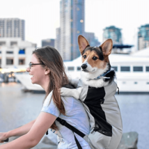 Sack Trainer Dog Carrier Backpack - £37.81 GBP