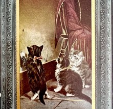 Kittens At Play Victorian Greeting Card Postcard 1900s Posted PCBG11B - £15.02 GBP