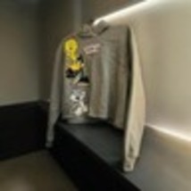 Gray Warner Bros. Looney Tunes Pull Over Hoodies for Juniors Sm  XXL 19 - $3.13
