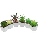 The Nubry Mini Fake Succulent Plants Artificial Plastic Succulents Potte... - $44.05 CAD