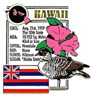 Hawaii The Aloha State Montage Fridge Magnet - £5.58 GBP