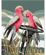 Perching Pair Galahs 34 x 44cm counted cross stitch kit - $77.41 CAD