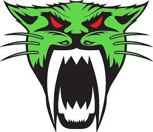 Arctic Cat Decal Sticker 10" Full Color Lime Green Sled ATV Truck Trailer