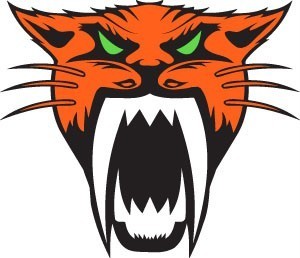 Arctic Cat Decal Sticker Full Color Orange Sled ATV