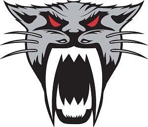 Arctic Cat Decal Sticker Full Color Silver Sled ATV
