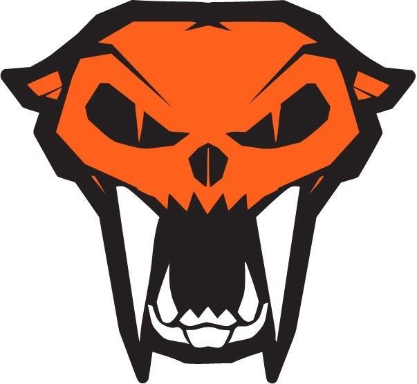 Arctic Cat Skull Decal Sticker  Brite Orange Sled ATV Truck Window Trailer