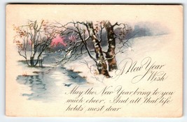 New Year Postcard Snow Covered Rustic Pond Trees Birds Gartner &amp; Bender 1921 - $9.90