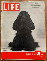 VTG Life Magazine January 31 1949 Dogs in America 8 Pages in Color - £7.84 GBP