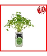 Self-Watering Hydroponic Herb Growing Kit - Indoor Cilantro Garden Starter - $717.02 MXN