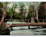 Rustic Foot Bridge Owan Sound Ontario Canada UNP DB Postcard T5 - $4.90