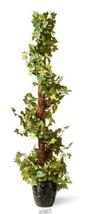 National Tree Company 48" Ivy Spiral Topiary - £134.07 GBP