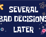 Several Bad Decisions Later 3&#39;X5&#39; Flag ROUGH TEX® 100D - £15.18 GBP