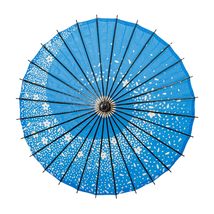 THY COLLECTIBLES Classic Chinese Art Asian Style 33&quot; Paper Parasol Umbrella with - $28.99