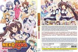 Dvd Anime~Doppiato In INGLESE~Nekopara(1-12Fine)Tutte Le Regioni+Regalo Gratuito - £11.19 GBP