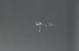 JBL Bar 9.1-Channel Soundbar w/ Wireless Subwoofer JBLBAR913DBLKAM image 4