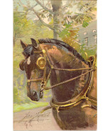  Old Faithful Paul Finkenrath of Berlin Signed Post Card  - $7.00