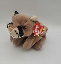 Ty Beanie Baby – Canyon the Cougar – Mint With Mint Tags Errors Rare 1998 - $155.00