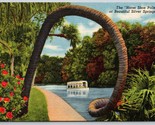 Horse Shoe Palm Silver Springs Florida FL UNP Linen Postcard K4 - $2.92