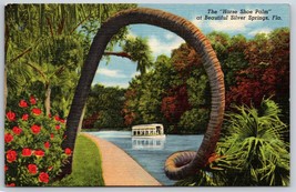 Horse Shoe Palm Silver Springs Florida FL UNP Linen Postcard K4 - £2.30 GBP