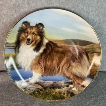 Danbury Mint Plate Summer  Outing Shetland Sheepdogs  by Edward Aldrich - $17.75