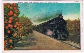 Postcard Train Going Through The Orange Groves Of California - $6.92