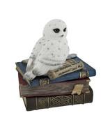 Wise Snow Owl Resting on Scholar`s Books Trinket Box - £32.36 GBP