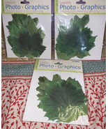 3 Pc Photo Graphics Diecuts 2 - Leaves 3 Package - New - £12.33 GBP
