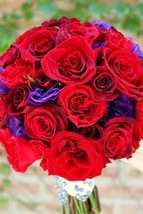 20+ Red And Purple Mix Lisianthus Flower Seeds / Annual / Cut Flower / Gift - $14.19