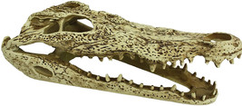 Komodo Alligator Skull Resin Terrarium Hide - $16.95