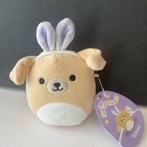 Squishmallows Easter Squad Stevon the Golden Retriever Dog w/ Bunny Ears 4.5”NWT - £10.29 GBP