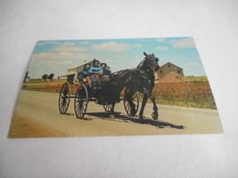 Vintage Postcard Amish buggy Girls Lancaster Pennsylvania Dutch Amish co... - $66.96 MXN