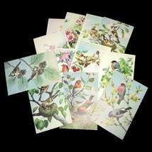 Lots Vintage &quot;Birds&quot; Postcards by Alfred Mainzer - £23.37 GBP