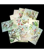 Lots Vintage &quot;Birds&quot; Postcards by Alfred Mainzer - £23.53 GBP
