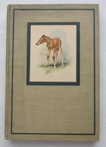 THE RED PONY ~ John Steinbeck ~ Wesley Dennis Illustrated First Edition 1945 - £14.06 GBP
