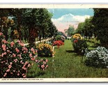 Hamburg Place Gardens in June Lexington Kentucky KY Linen Postcard N25 - £2.33 GBP