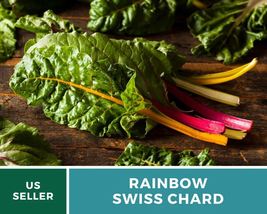 100 Pcs Rainbow Swiss Chard Heirloom Seeds Non GMO Beta vulgaris cicla Seed - £15.57 GBP