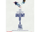 Anatomy of a Fall DVD | Sandra Huller - £16.81 GBP