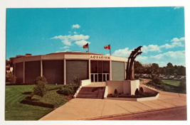 Aquarium of Niagara Falls Dolphins Sea Lions NY UNP Dexter UNP Postcard c1968 - $7.99