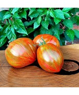 Organic Berkeley Tie Dye Heart Tomato Seeds, Exotic &amp; Flavorful, Ideal f... - £5.58 GBP
