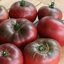 Red Purple Cherokee Tomato 30 Seeds Non-GMO - £4.13 GBP