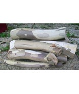 7 Sycamore Tree Logs, Live Edge, Dry Wood, From Our Indiana Homestead Wo... - $25.00