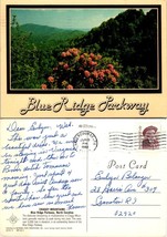 North Carolina Blue Ridge Parkway Craggy Mountains Posted 1990 to RI Postcard - £7.39 GBP