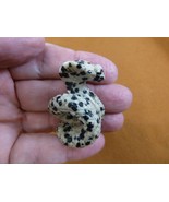 Y-SNAK-CO-557) black white SNAKE COBRA carving FIGURINE GEMSTONE reptile... - $263.54 MXN