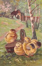 Easter Chicks Wooded Scene Glitter 1908 Postcard D38 - £2.38 GBP