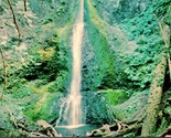 Vtg Chrome Postcard Marymere Falls at Lake Crescent WA Olympic National ... - £3.09 GBP