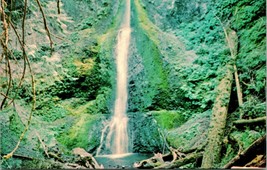 Vtg Chrome Postcard Marymere Falls at Lake Crescent WA Olympic National Forest - £3.07 GBP